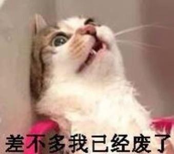 百度老司机新关键词，进入请自备梯子