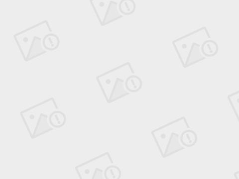 WordPress美女图片整站源码,CX-UDY主题,自适应带会员积分下载