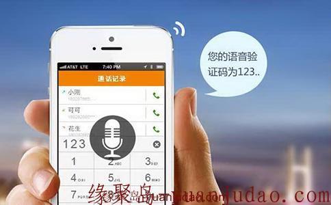 语音验证码接受平台，可用于电话轰炸测试