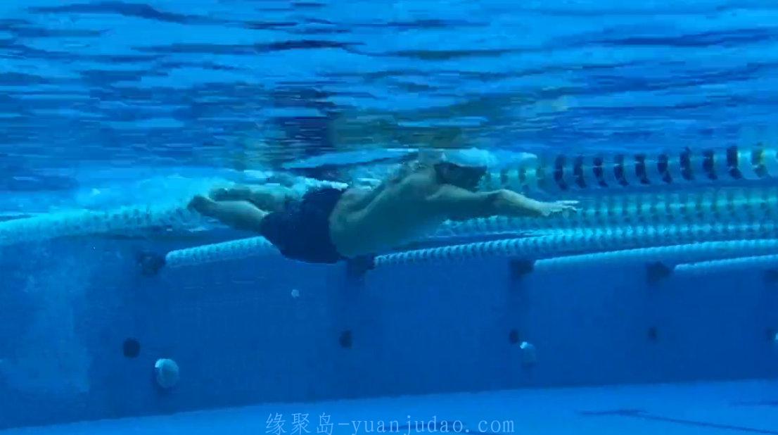 B站梦觉游泳教学视频：包含自由泳、蛙泳、蝶泳、仰泳