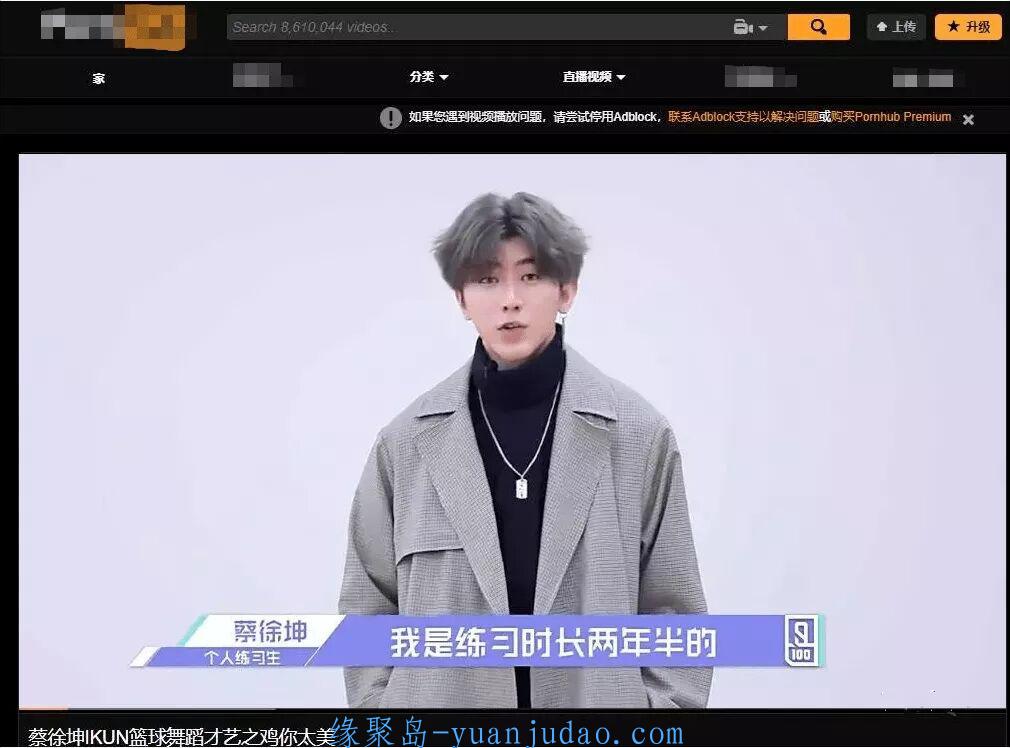 全球最大的老司机站“P站”开始凉了？ 