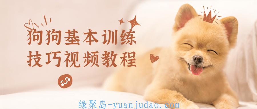 狗狗基本训练技巧视频教程，纠正狗狗不良行为视频教程