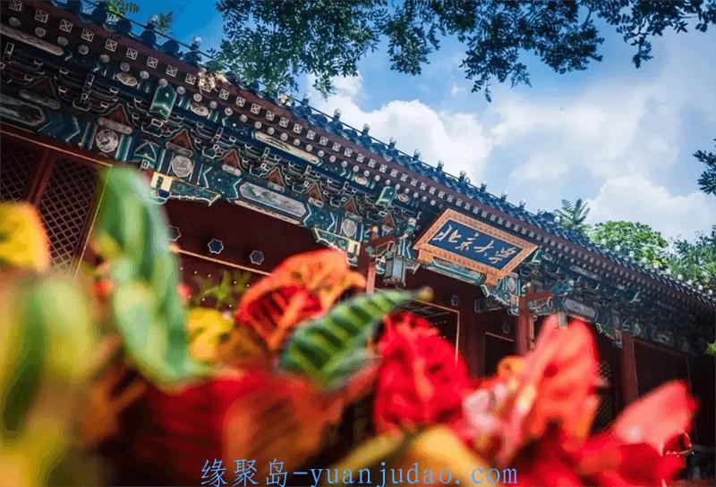 [课程] 北京大学精品课程32套