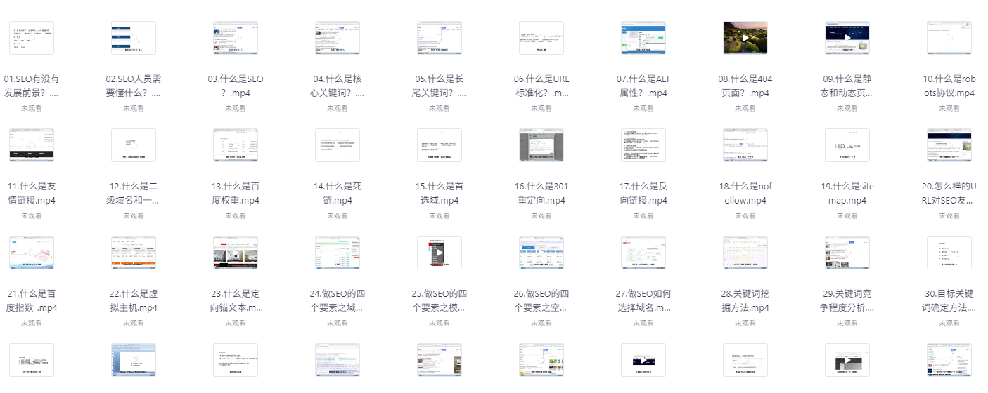 零基础SEO优化课程，手把手教你做SEO优化，只讲干货[190.8M]