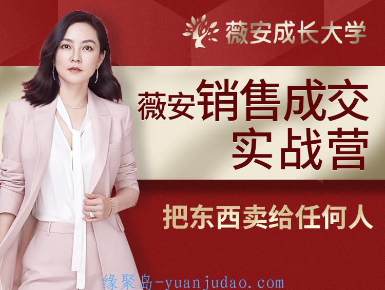 薇安28天销售高手训练营 
