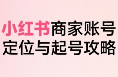 系统拆解小红书商家起号全流程，大晴老师·小红书电商全链路实战带你从定位到爆单[MP4][1.7G]