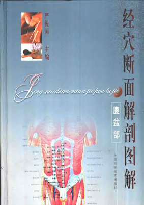 《经穴断面解剖图解全4册》[PDF][97M]